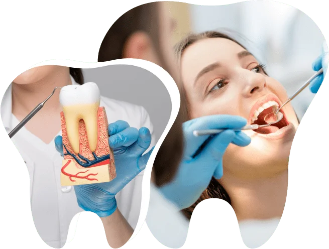 Best Dental Services Near Me in Kasavanahalli