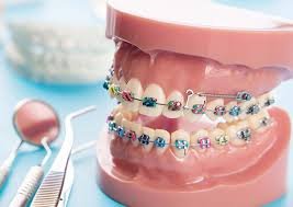 orthodontics dental clinic in slv layout